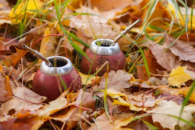 Two silver calabash among autumn leaves