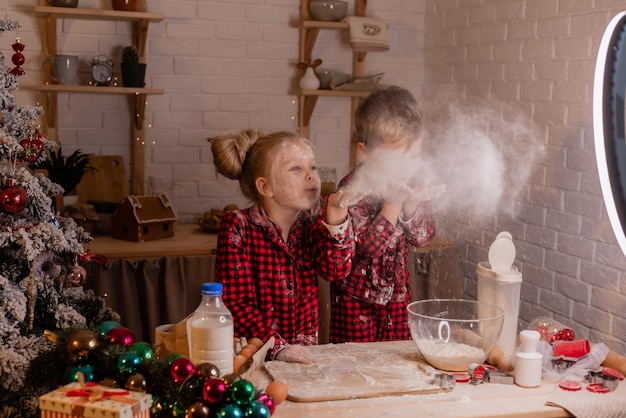 two small children cook a pie for Christmas and shoot a cooking blog. children bloggers