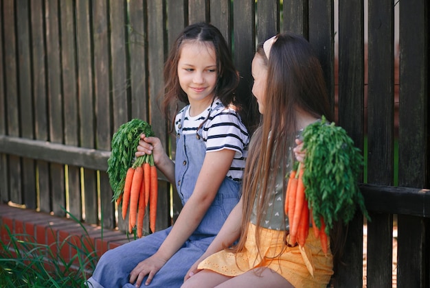 Two Smiling little girls in a garden holds a bunch of fresh carrots and play