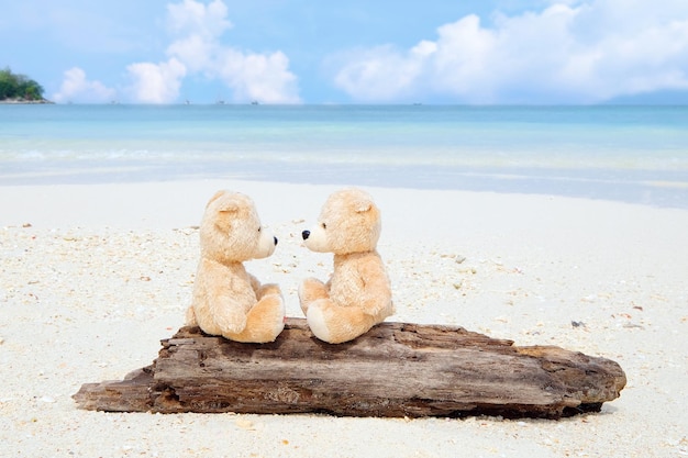 Two teddy bears sitting on the timber with sea view Love and relationship concept Beautiful white sandy beach in the summer