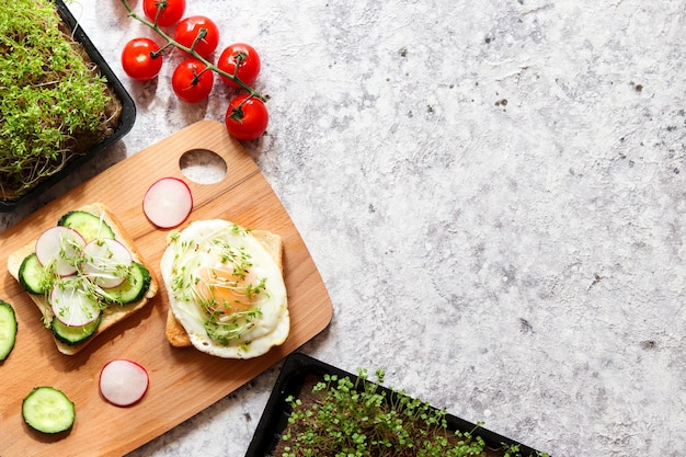 Two toasts or bruschetta with egg cucumber radish avocado and microgreens on table with copy space