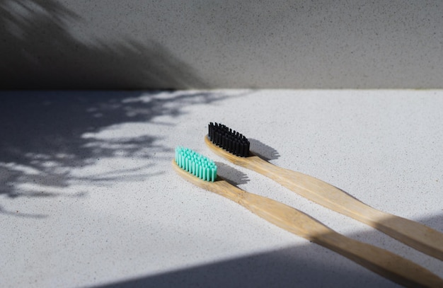 Two toothbrushes