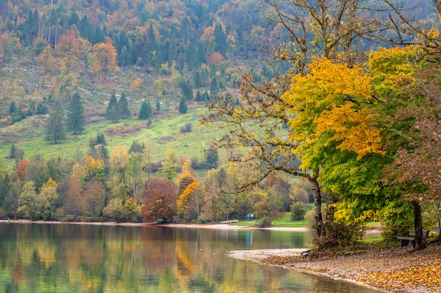 Two unrecognizable tourists go for a canoe trip around the scenic lake Bohinj on a beautiful day in autumn. Travelers kayak towards the shore and vacation homes hiding between trees changing colors