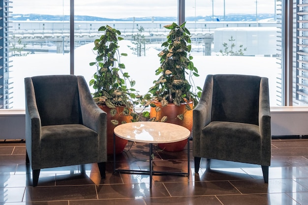 Two velvet chair with marble table and ivy plant decoration in living room