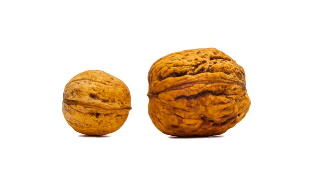 Two walnuts one of which is more than the other isolated on a white background