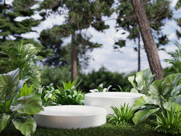 Two white podium in field of grass for product presentation behind is a view of the forest