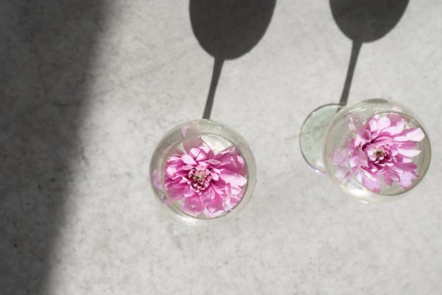 Two wine glasses with chrysanthemum flowers inside on a light concrete background with hard shadows