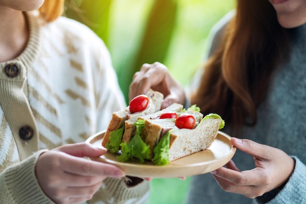 Two women holding and eating whole wheat sandwich in wooden plate together