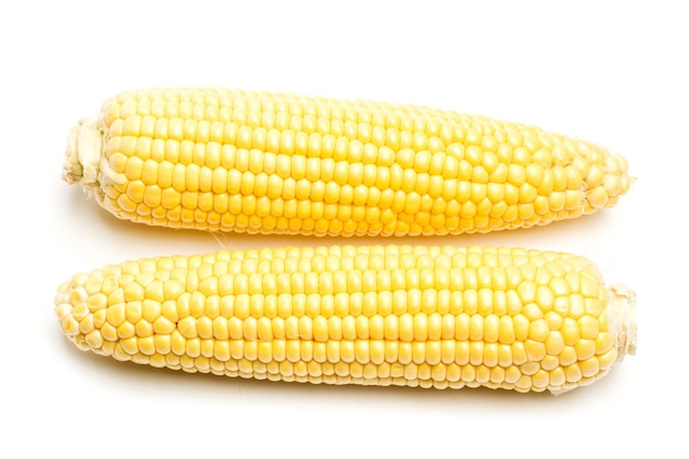 Two yellow corns on a white background