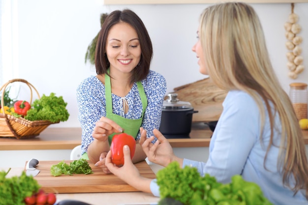 Two young happy woman making cooking in the kitchen Friendship and culinary concept