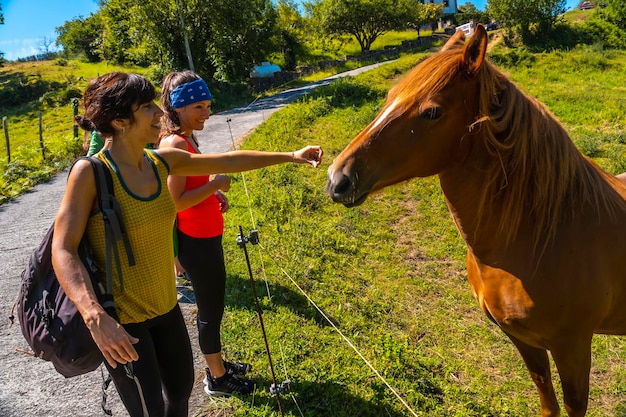 Two young people stroking a horse on the coast of Monte Igueldo Guipuzcoa Basque Country