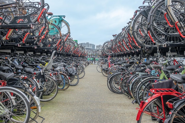 TwoLevel Bicycle Parking at Amsterdam Central Station