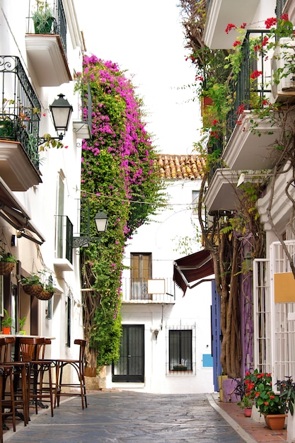 Typical Andalusia Spain old village whitewashed houses and shops