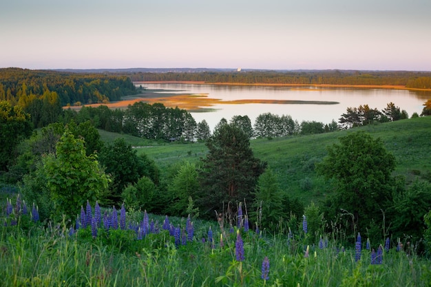 Typical belarusian landscape in the evening