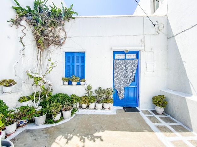 Typical greek front yard with white wall blue door and lots of plants to decorate