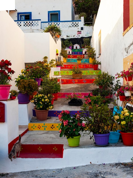 Typical house in Linosa with the staircase full of flower pots