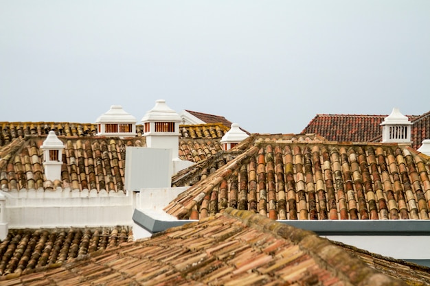 Photo typical look and design of the architecture of the rooftops in portugal, europe.