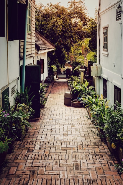 typical narrow alley in street of luang prabang, Laos.