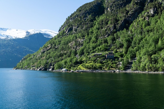 Typical Norwegian farm on the shore of the Geirangerfjord with snowcapped mountains in the background