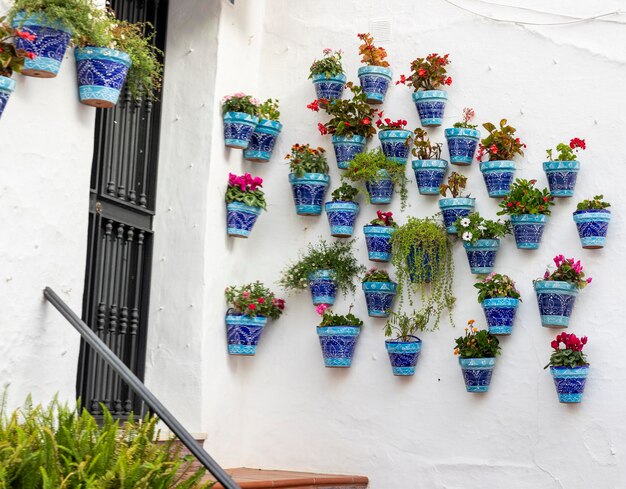 Photo typical potted plants on mijas village