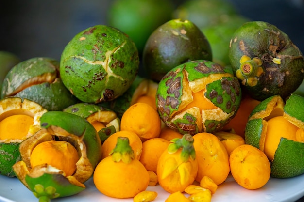 Photo typical ripe pequi fruit caryocar brasiliense in fine details and selective focus