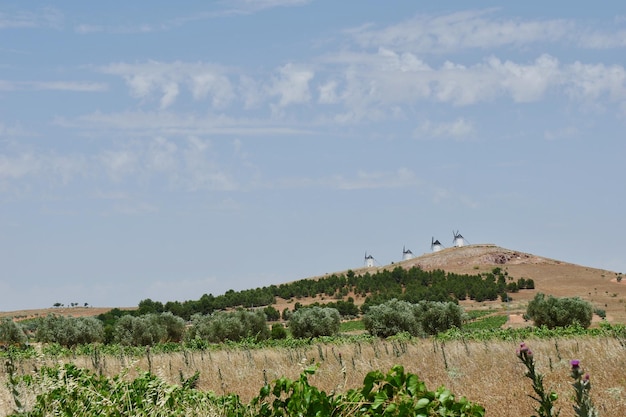 Typical rural landscape at summertime in Castilla La Mancha community Spain