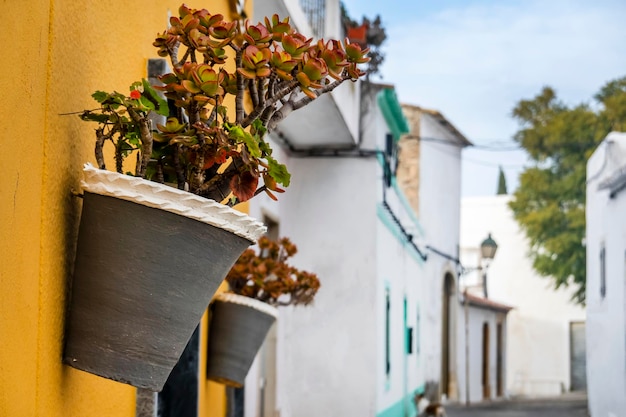 Typical street of the village of Estoi