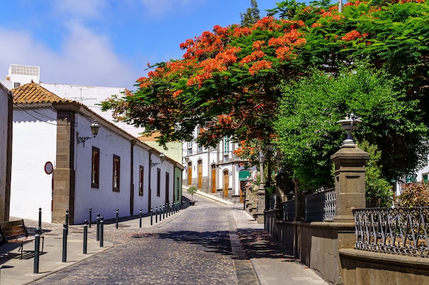 Typical streets of a small Canarian town with white houses and bright colors. Arucas Gran Canaria. Spain.