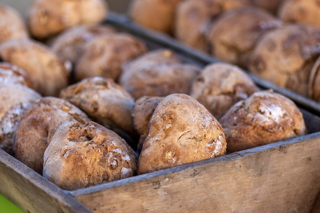 Typical traditional sweet bread