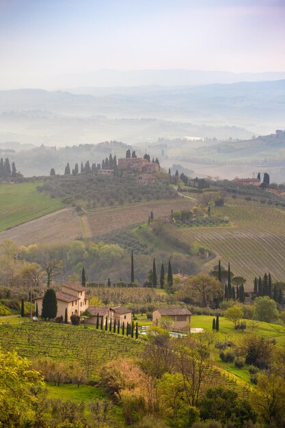 Photo typical tuscan landscape - a view of a villa on a hill, a cypress alley and a valley with vineyards, province of siena. tuscany, italy