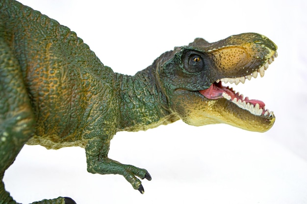 Tyrannosaurus dinosaurs toy isolated on background with clipping path. High quality photo