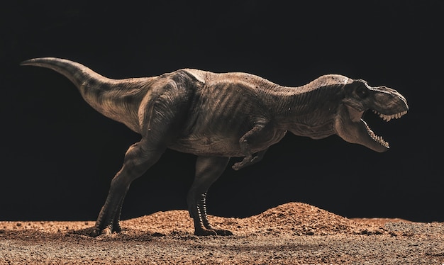 Tyrannosaurus rex isolated black surface