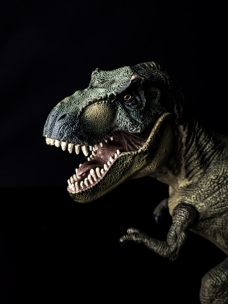 Tyrannosaurus T-rex dinosaur on black  background