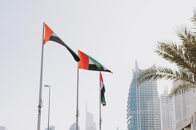 UAE national symbol flag waving outdoor with city and sky background