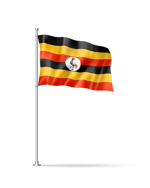 Uganda flag isolated on white