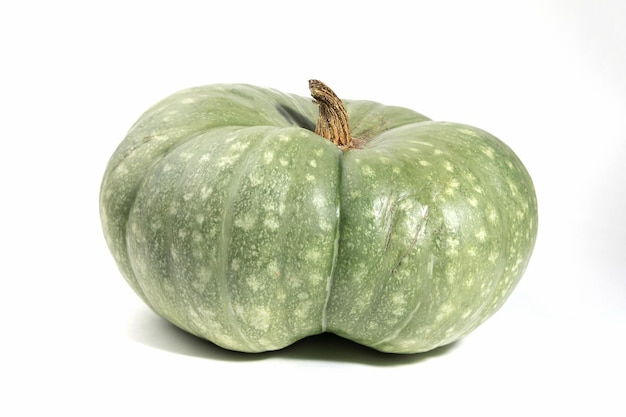 Ugly ripe green pumpkin on a white background. Organic waste of overripe fruits. Ugly food, fruits. Copy space