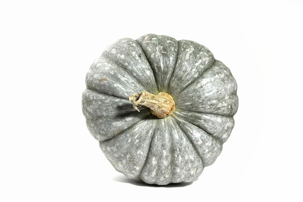 Ugly ripe green pumpkin on a white background. Organic waste of overripe fruits. Ugly food, fruits. Top side view. Copy space