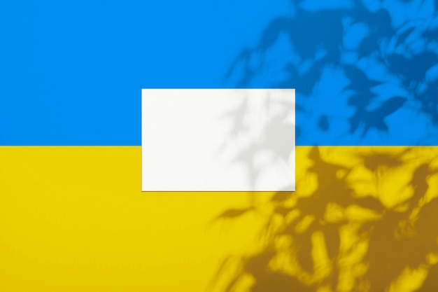 Ukraine flag on the wall