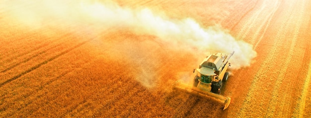 Ukraine harvester harvests wheat drone Top view