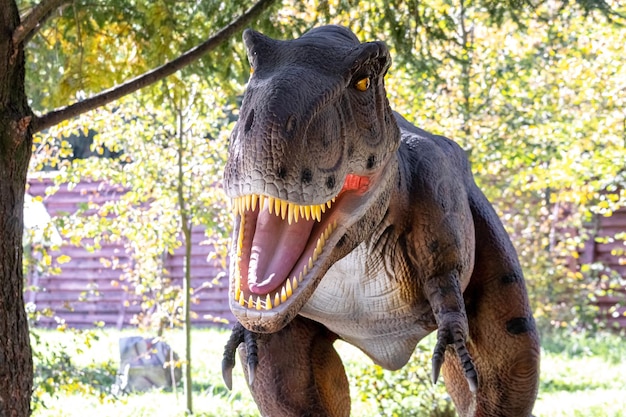 Ukraine, Khmelnitsky, October 2021. Dinosaur model in the park. Giant tyrannosaurus at an exhibition in the park on a summer sunny day, the head of a dinosaur