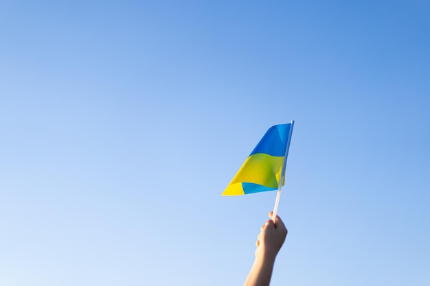 Ukraine's Independence Day Ukrainian child boy in white t shirt with yellow and blue flag of Ukraine in field Flag of Ukraine Constitution day Stand with Ukraine Save Ukraine