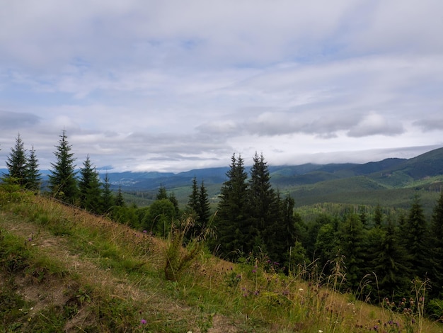 Ukrainian Carpathian mountains on a summer cloudy day