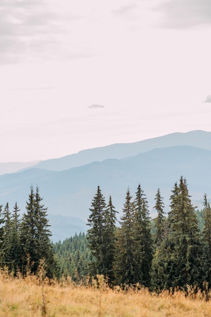 Ukrainian Carpathians in autumn