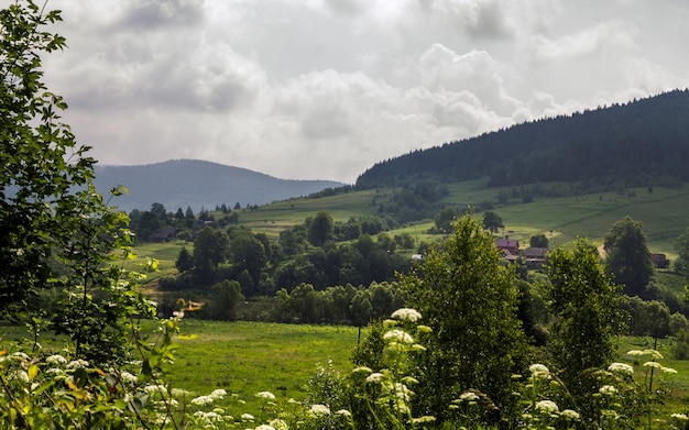 Ukrainian country side - Carpathians mountain at summer