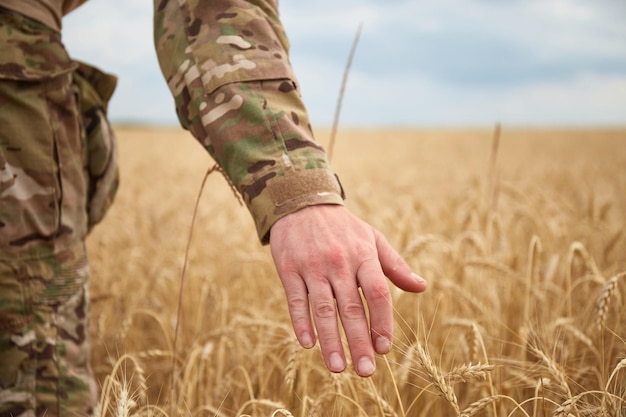 Ukrainian military man in wheat field Ukrainian wheat fields and war upcoming food crisis Armed Forces of Ukraine