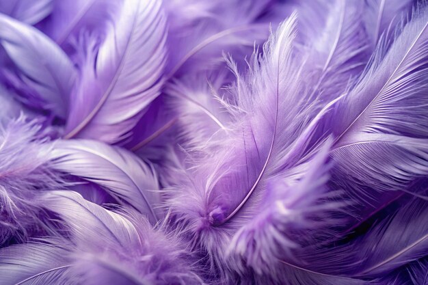 Photo ultra violet feathers closeup color of the year 2018 abstract pastel purple soft fluffy texture background fashion colour trends on design wallpapers