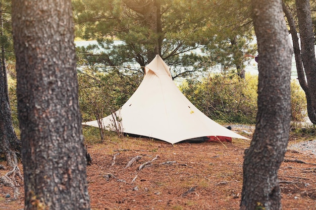 Ultralight tent with rope ties is installed in a dense forest in the camp Weekend activity and hiking or trekking gear and equipment