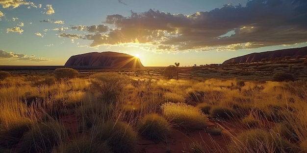 Photo uluru australia kangaroos kangaroos at uluru sunrise outback australia landmarks sunrise at ayers