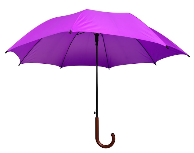 Umbrella Violet isolated