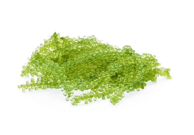 Umi-budou, grapes seaweed or green caviar isolated on white